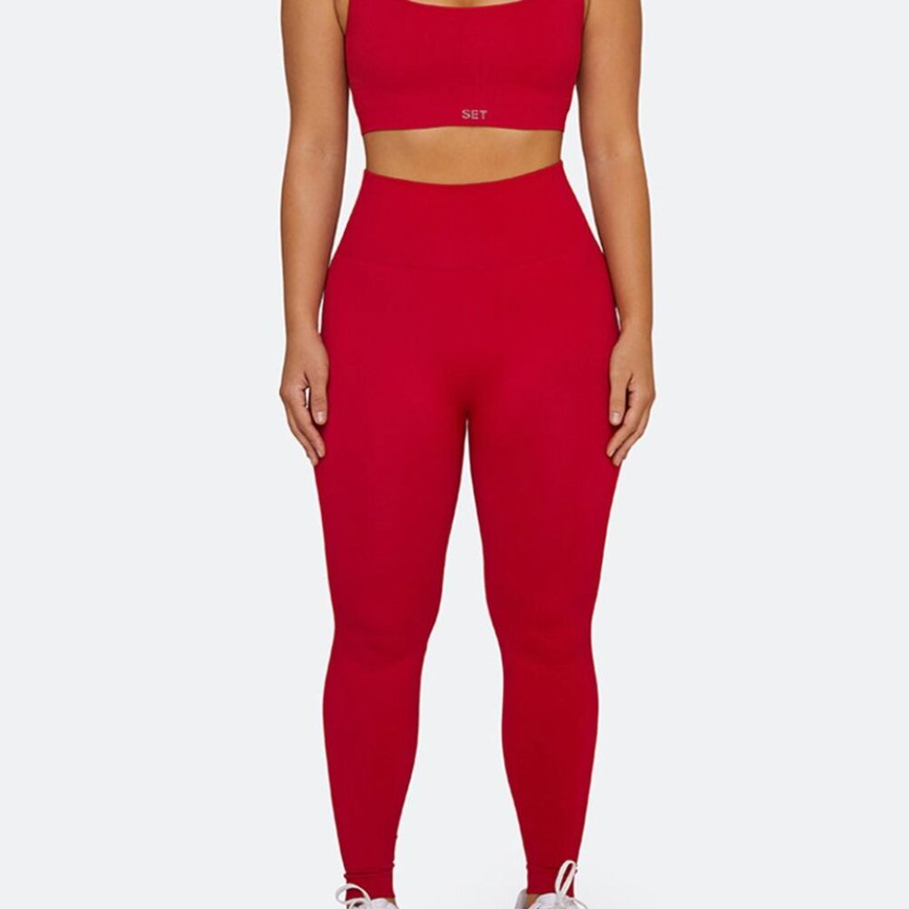 SCULPTFLEX® Leggings and Bra  SET COLOR SOLD OUT NWOT